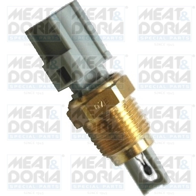 Sensor, intake air temperature